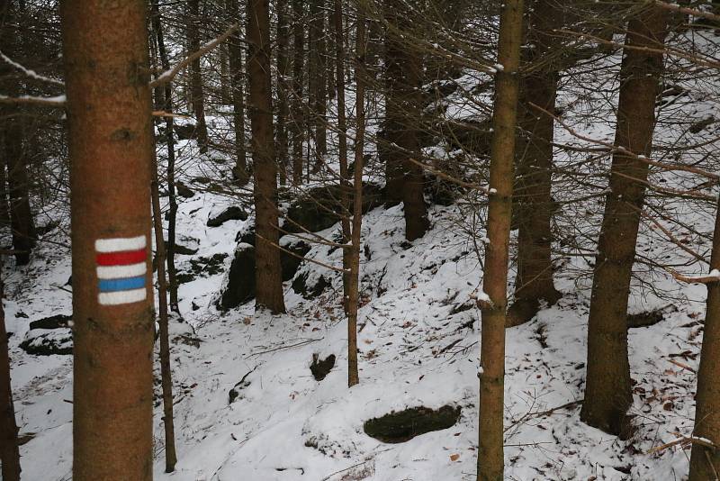 Vykácené stromy, paseky, mizející turistické značení i tabulky terénní záchranné služby má na svědomí lýkožrout smrkový.