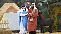 Letos se 24. prosince herci i diváci za kostelem v Měříně při Živém betlému sejdou naposledy.