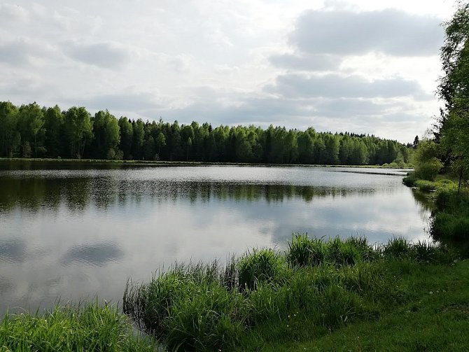 Rybník Svratka.