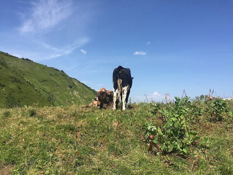 Lyžařská oblast Fellhorn Kleinwalsertal