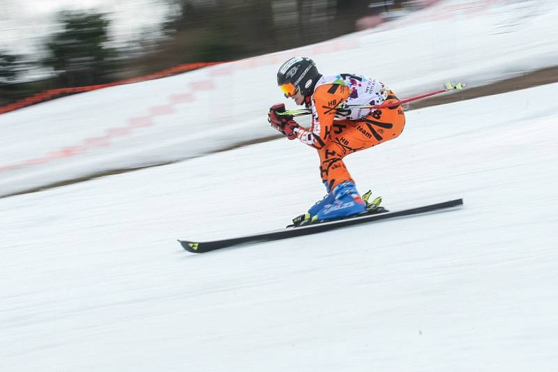 Veřejný závod v alpských disciplínách uspořádal Ski klub Velké Meziříčí na místním Fajtově kopci. Soutěž neohrozilo ani na začátek března již poměrně dost teplé počasí.