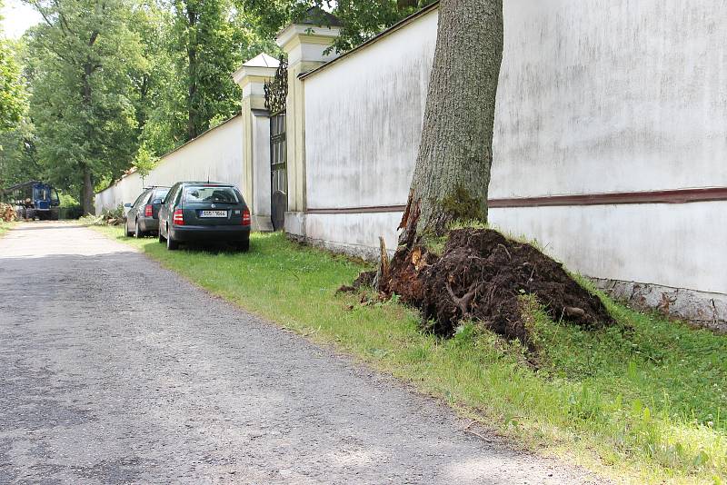 Několik vzrostlých stromů bouřka vyvrátila také v aleji u žďárského zámku. S odstraněním kmene, který přepadl přes zámeckou zeď do zahrady Kinských, museli přijet pomoci žďárští profesionální hasiči.