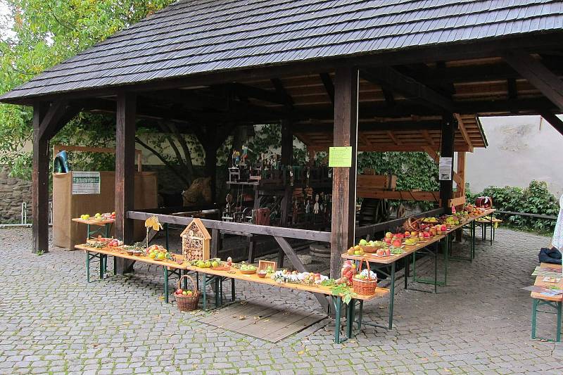 Sládě, Stýmka, Moravská jadernička, Panenské, Rubín, ale také Gráfštýnské, Grahamovo jubilejní nebo Arcikníže Ferdinand - to je několik jmen jablek které se objeví na výstavě v novoměstském muzeu o tomto víkendu 7. a 8. října 2017.