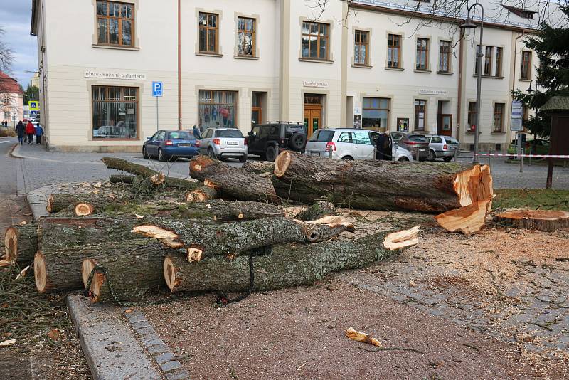 Do kmenů stromů se zakously motorové pily.