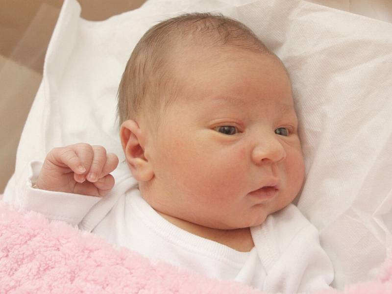 Natálie Požárová, Osová Bítýška, 5.8. 2016, 3140 g, 49 cm (FN Brno)