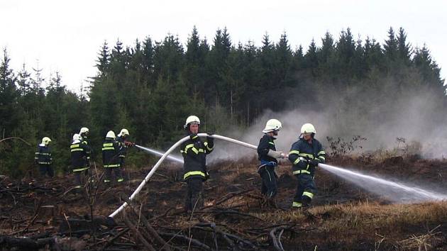 Pět hasičských jednotek bojovalo s lesním požárem