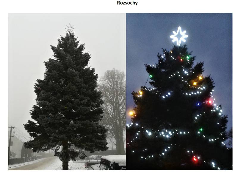 Na Bystřicku bojovali o nejhezčí vánoční strom. Vloni se do soutěže nakonec přihlásilo jedenáct obcí.
