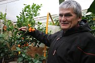 Petr Broža z Moravce je mistrem v pěstování exotických rostlin.