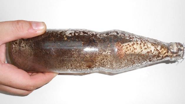 Hříbek, který vyrostl ve skleněné lahvi, objevila v lese u Hamrů nad Sázavou před několika dny Denisa Vykydalová. 