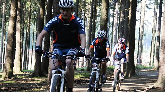 Kůrovec uzavřel zelený singletrack v novoměstské Vysočina areně