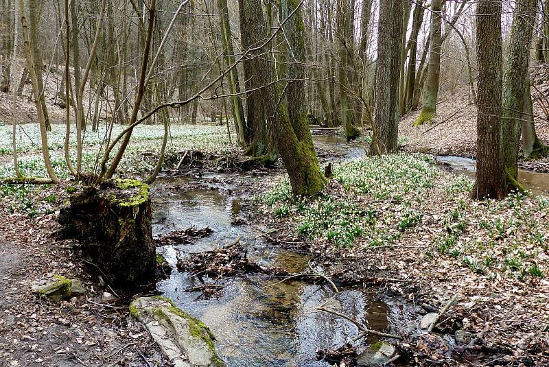 Vzpomínka na procházku Chlébským pdolím. Foto: Jitka Melicharová