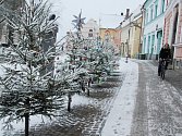 Vánoční atmosféru vykouzlili na Vratislavově náměstí v Novém Městě na Moravě žáci novoměstské první základní školy. 