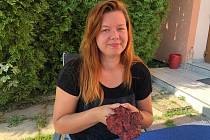 Nela Rundštuková z Rokytna našla houbu nesmrtelnosti.