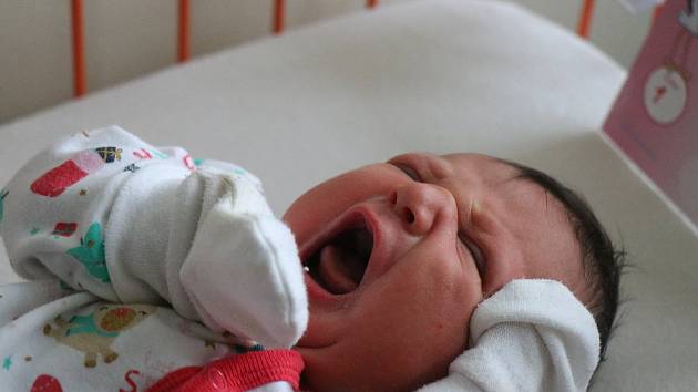 Prvním novoměstským miminkem je Viktorka. Na svět přišli i Francesco nebo Kayla