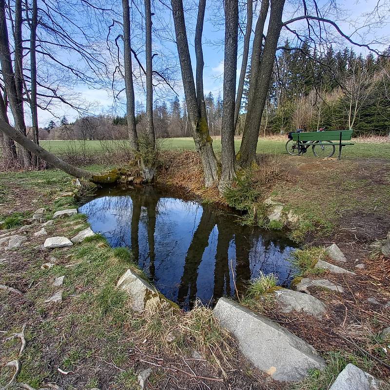 Podívejte se na včelku na kalině z jihlavských Smetanových sadů, crokusy z Jihlavy - Štefánikova náměstí, sněženky z Národní přírodní rezervace Špičák a Koniklece