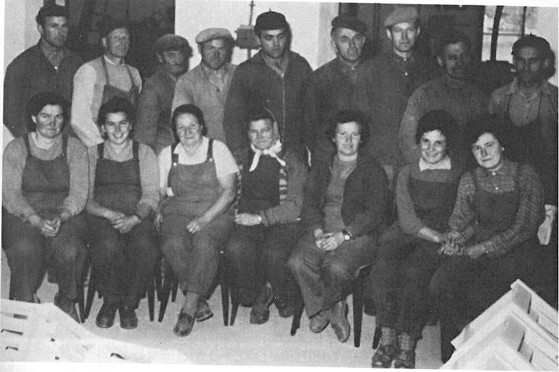 Dělníci Výrobního družstva DŘEVO Měřín v roce 1964 (židličkárna).