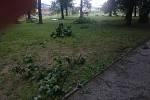 Páteční bouřka poničila i zámecký park ve Větrném Jeníkově