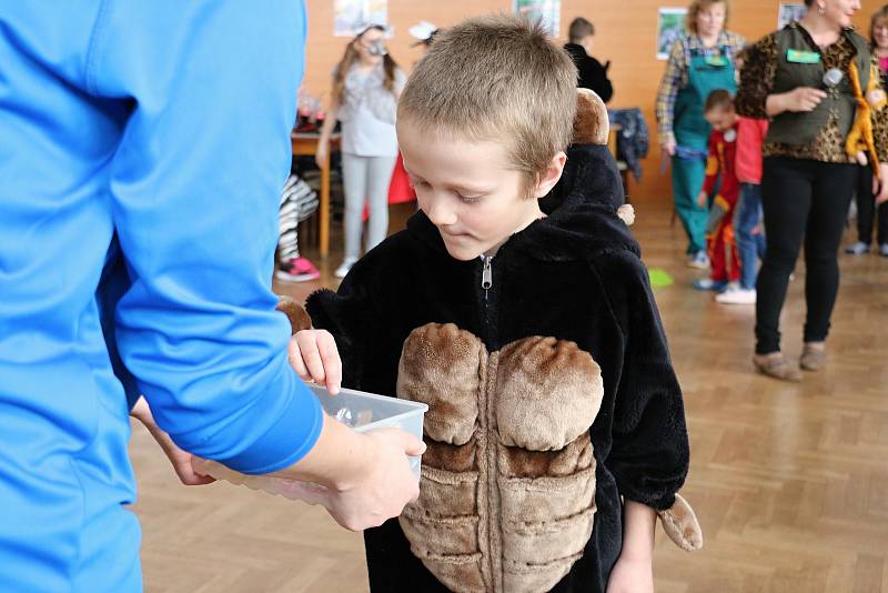 Karneval v Rokytně se každoročně koná pod taktovkou místních hasičů.