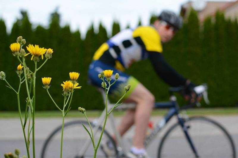 Jela se cyklistická časovka ze Žďáru nad Sázavou do Skleného. 