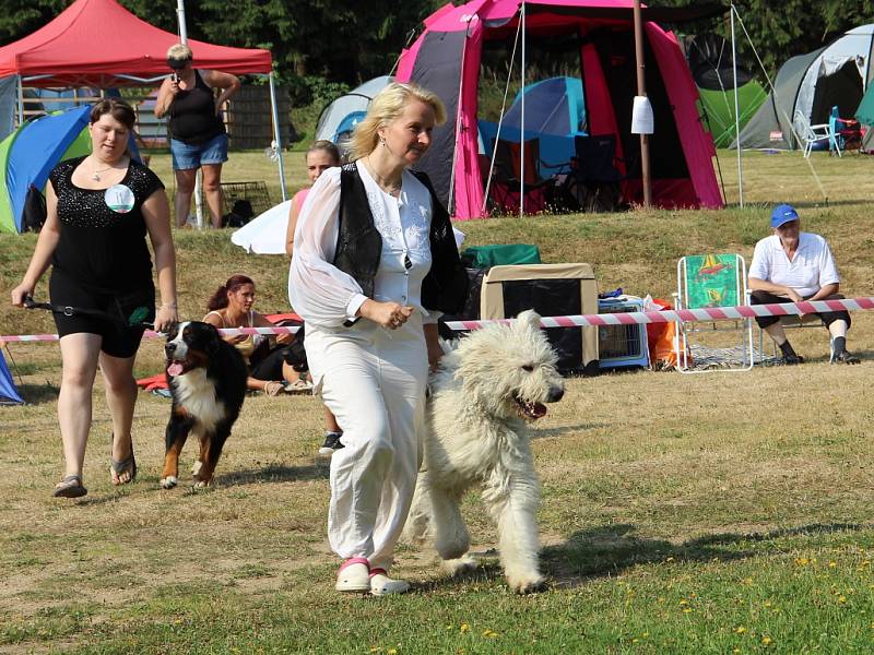 Duo voříškiáda 2015 Tři Studně.