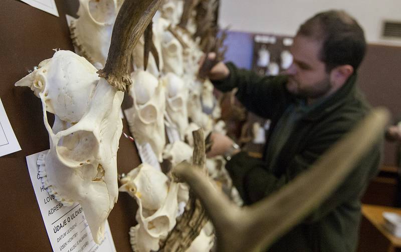 Instalace výstavy trofejí zvěře ulovené v roce 2017 v honitbách okresu Žďár nad Sázavou a oblasti chovu jelení zvěře "Žďárské vrchy".