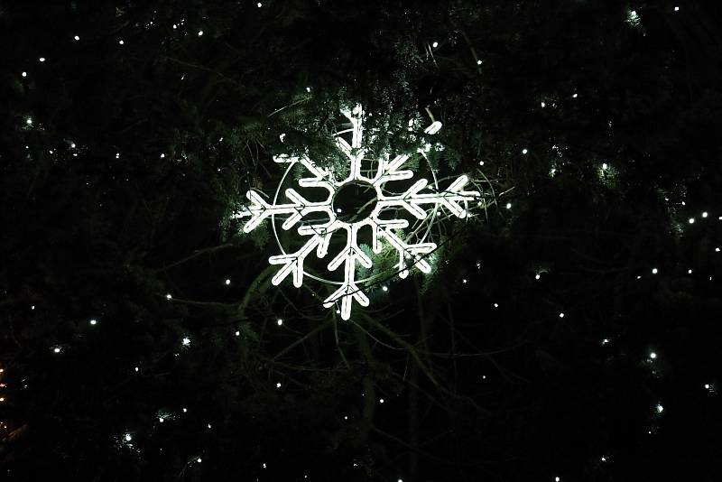 Vánoční strom se v Novém Městě na Moravě rozzářil se tam o něco dříve než jinde. Už v předvečer první adventní neděle.