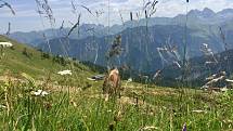 Lyžařská oblast Fellhorn Kleinwalsertal