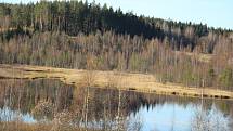 Pohled na typickou finskou přírodu, ve které se snoubí zachovalá fauna i flóra s nespočtem vodních ploch.