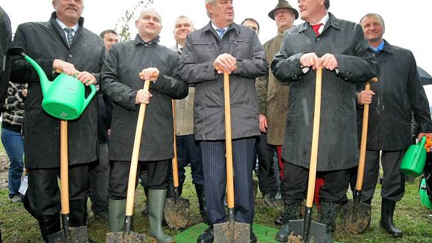 Dubovou alej na břehu Veselského rybníka, kterou Miloš Zeman pojmenoval po zavražděném studentu Petru Vejvodovi, zasadil loni na podzim prezident s hejtmany. 