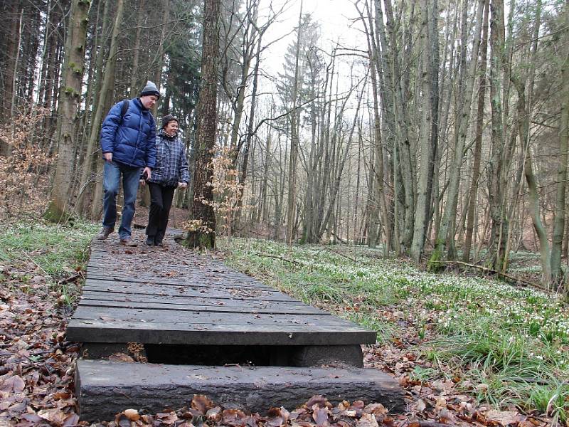 Bledule u Chlébského už lákají turisty.