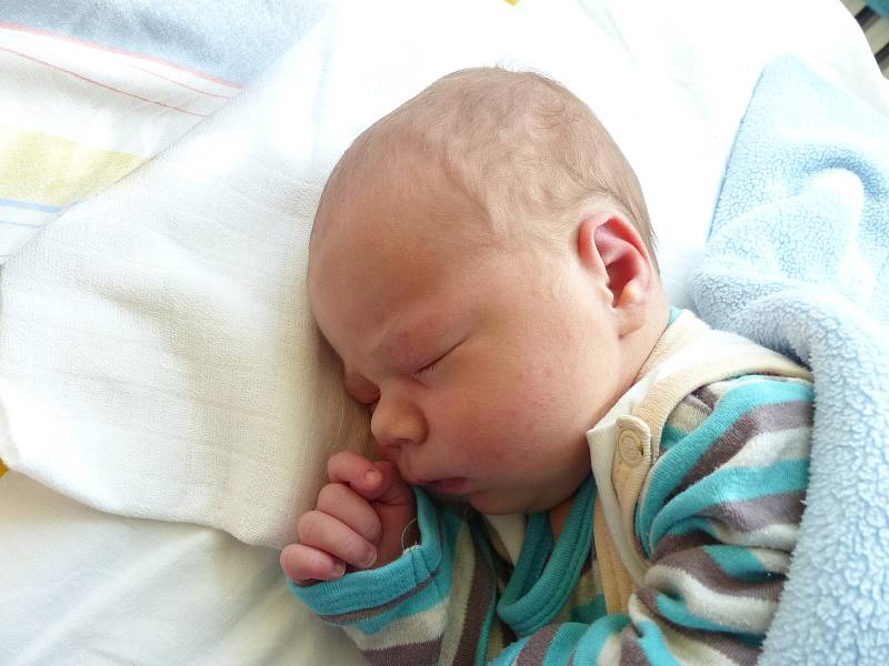 Adam Schauer, Nedvězí, 9.2. 2020, 4120 g, 53 cm