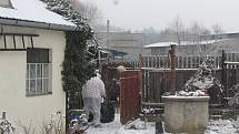 Veterináři z Krajské veterinární správy v Jihlavě utratili šest slepic a kohouta také v sousedním chovu Marty Němcové.