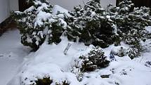 Sněhová nadílka na Novoměstsku připomíná spíše vánoční svátky než jaro v dubnu.