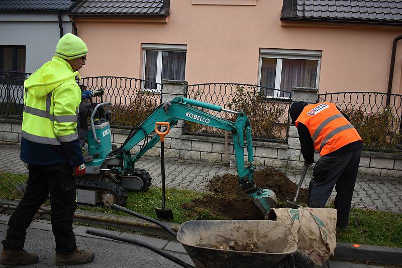 Zaměstnanci dodavatelské firmy se už pustili do sázení čtyř i pětimetrových stromů.