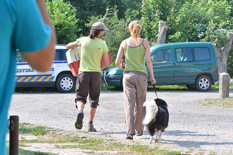 Z útulku odebrali všechny psy, provozovatelé péči nezvládali. Žďárská radnice řeší, kam teď bude umisťovat zatoulaná zvířata odchycená na území města.