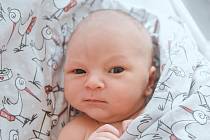 Vilém Cincibus se narodil v nymburské porodnici 22. září 2022 v 18:18 hodin s váhou 3900 g a mírou 50 cm. V Chlumci nad Cidlinou prvorozeného chlapečka očekavala maminka Aneta a tatínek Petr.