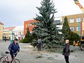 Vánoční strom už je v Nymburce
