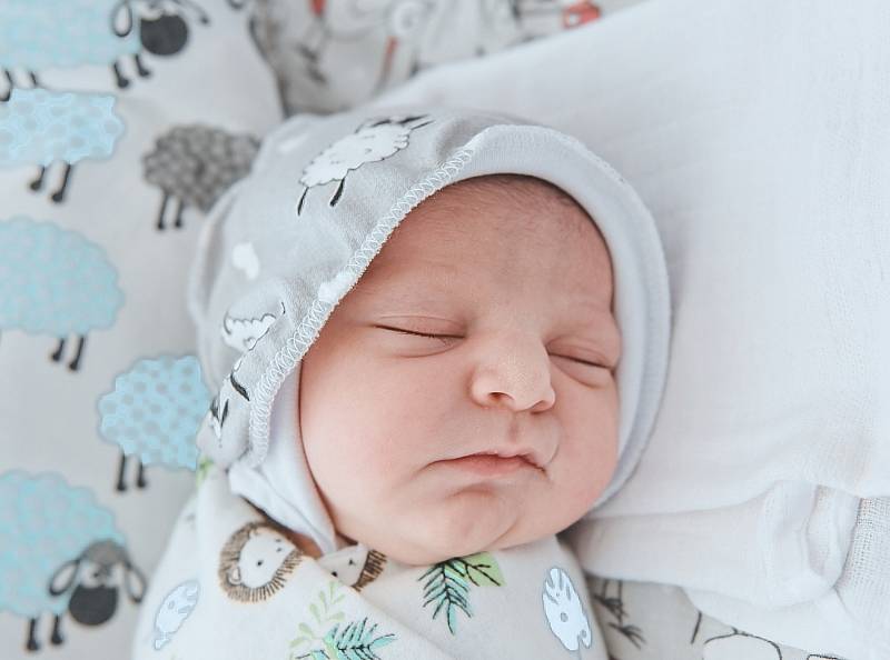 Milena Holynska se narodila v nymburské porodnici 19. března 2022 v 6:22 hodin s váhou 2930 g a mírou 48 cm. S maminkou Katerynou, tatínkem Ivanem a sestřičkami Světlanou (11 let) a Zlatou (6 let) bude bydlet v Mochově.
