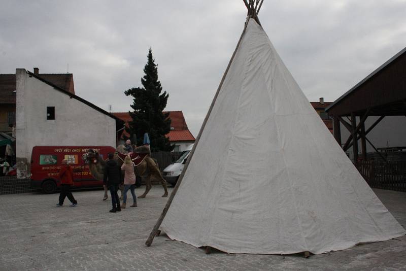 Výstava Exotika 2016 v Lysé nad Labem.