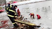 Z nácviku záchrany tonoucího profesionálními hasiči v prostorách přístaviště u hradeb v Nymburce.