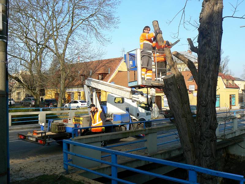 Zaměstnanci technických služeb káceli u Malých Valů dva vzrostlé akáty.