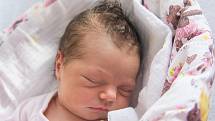 Klára Bulířová se narodila v nymburské porodnici 30. října 2021 ve 2:32 hodin s váhou 2860 g a mírou 47 cm. V Odřepsech bude prvorozená holčička bydlet s maminkou Dašou a tatínkem Radkem.