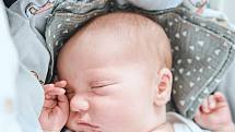 Albert Rudolf Herman se narodil v nymburské porodnici 26. července 2022 v 8:31 hodin s váhou 4350 g a mírou 52 cm. Ve Všejanech-Vanovicích se z chlapečka raduje maminka Klára, tatínek Rudolf a bráška Tadeáš (5 let).