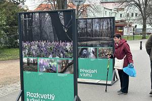 Z výstavy Poděbradské luhy na lázeňské kolonádě v Poděbradech.