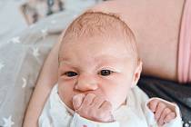 Ema Kvapilová se narodila v nymburské porodnici 15. listopadu 2022 v 12:04 hodin s váhou 3210 g a mírou 48 cm. Maminka Eliška a tatínek Dominik prvorozenou holčičku očekávali v Kounicích.