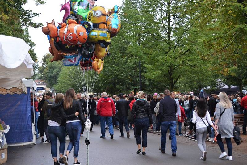 Většina akcí festivalu byla návštěvníkům volně přístupná.