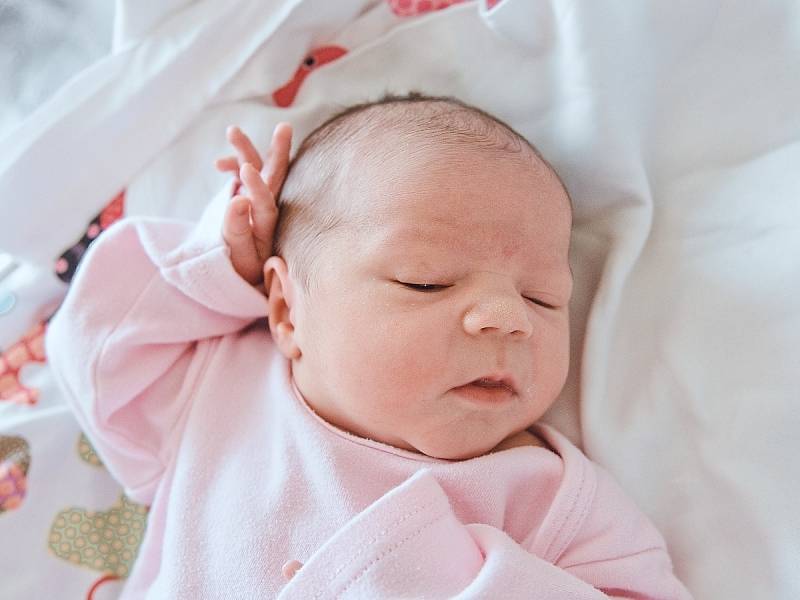 Sofie Pechová se narodila v nymburské porodnici 24. září 2022 v 22:35 hodin s váhou 3320 g a mírou 47 cm. Do Milovic prvorozenou holčičku odvezla maminka Zdeňka a tatínek Martin.