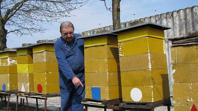 Včelař Josef Lounek (na snímku) má svých deset včelstev v pořádku. Řada jeho kolegů ale takové štěstí nemá.