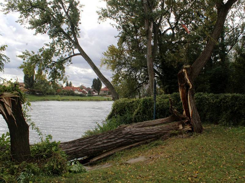 Dva stromy spadly na molo u parkoviště pod Eliškou v Nymburce.