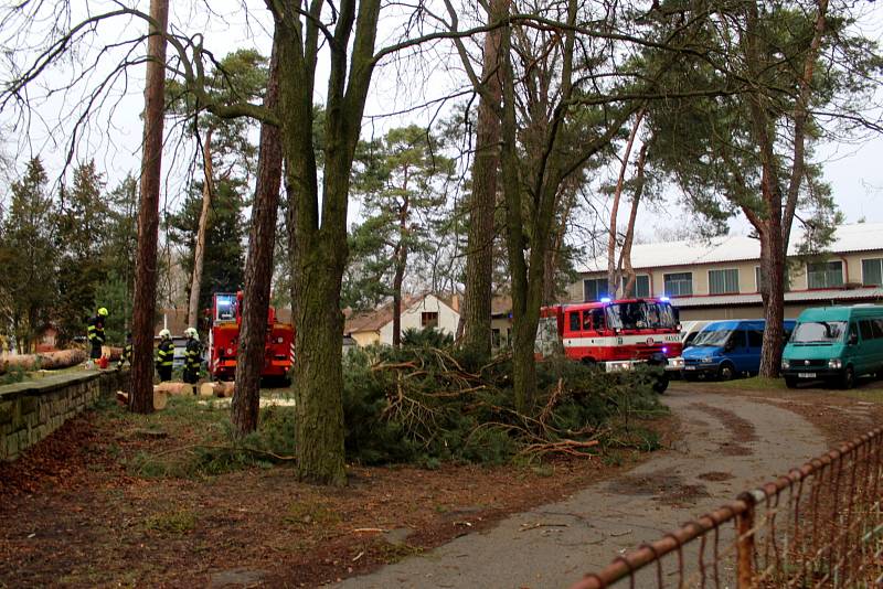 Mohutný strom spadl v policejním školícím středisku v Sadské.